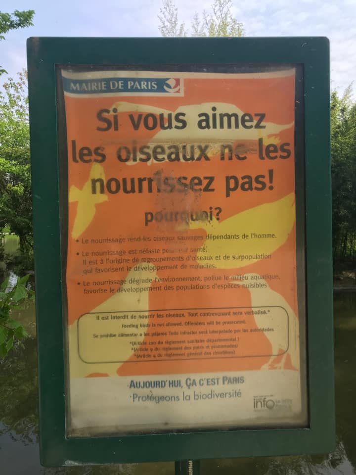 Ville de PARIS - Affichage - "Si vous aimez les oiseaux ne les nourrissez pas !"
