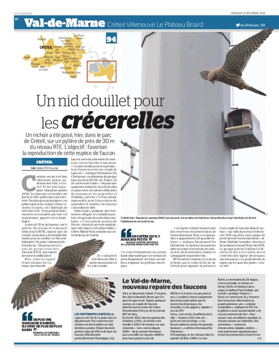 Le Parisien du 21 décembre 2018 - Un nid douillet pour les crécerelles