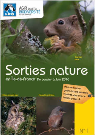 LPO - Sorties nature en île-de-France N°1 de janvier à juin 2016