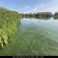IMG 118 Lac de Creteil