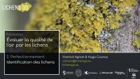 Formation Évaluer la qualité de l'air par les lichens - 2. Perfectionnement Identification des lichens.